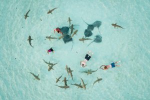 Polinezijoje turistę prancūzę sunkiai sužalojo ryklys