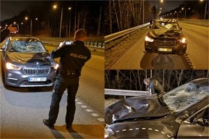 Kelyje Vilnius-Kaunas BMW susidūrė su briedžiu: vairuotoją išsivežė medikai
