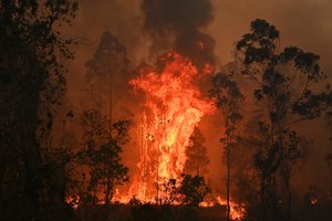 Australai perspėjami, kad baisiausi krūmynų gaisrai gali dar tik laukti