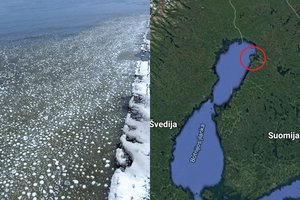 Baltijos jūroje užfiksavo fenomenalų reiškinį – pakrantę nuklojo ledo „kiaušiniai“