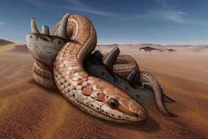Ištaisyta 160 metų senumo klaida: mokslininkai pripažįsta, kad gyvatės turėjo kojas