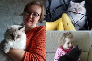 Meilė katėms pakeitė šeimos gyvenimą – nesustabdė net dukters liga