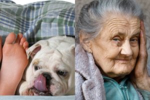 Neįgalią šunis mylėjusią senolę sunkiai susargdino jos augintinio poelgis
