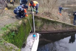 „Vilniaus vandenų“ nuotekų tyrimų rezultatai: užterštumas pavojingas vandens organizmams