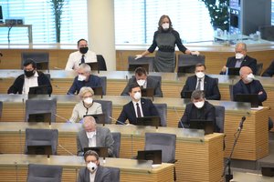 Opozicija siūlo Seimui kreiptis į KT dėl S. Rudėnaitės atleidimo iš pareigų