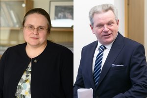 A. Širinskienė – apie skandalą dėl J. Narkevičiaus: pamatysime tikruosius užsakovus