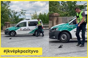 Gražus Vilniaus policininkų poelgis: sustojo padėti nusilpusiai varnai