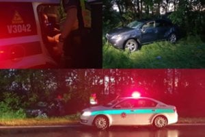 Vilniaus r. krūmuose rastas suknežintas „Lexus“ visureigis: policija pagavo pradingusį vairuotoją
