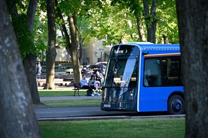 Į Nidos muzikos festivalį rieda ir lietuviški elektriniai autobusai