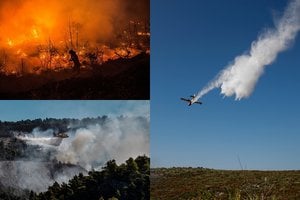 Karščio alinamoje Graikijoje siautėja miškų gaisrai