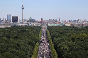 Berlyne per protestus sužaloti 45 policininkai