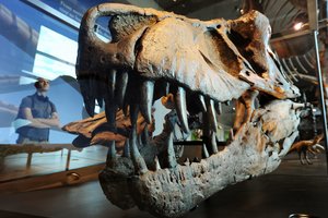 Dinozaurai irgi sirgdavo vėžiu, nustatė mokslininkai