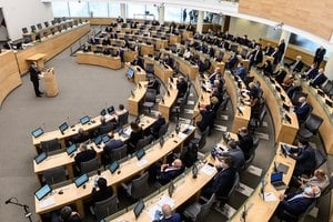 Vyriausybė palaikė idėją mažinti kandidatų į Seimo narius amžiaus cenzą iki 21 metų