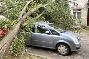 Vilniuje vėjas ant automobilio užvertė medį