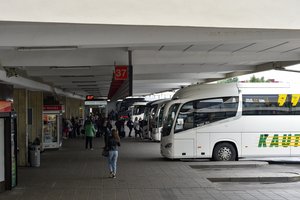 Į tarpmiestinius autobusus vasarą negrįžo trečdalis keleivių