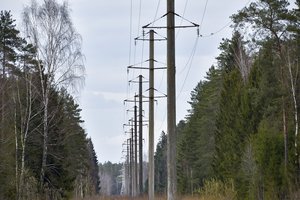 Lietuviai jau gali rinktis iš penkių elektros energijos tiekėjų: dalyvauja trys lietuviški žaidėjai