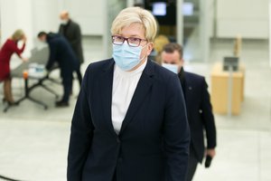 I. Šimonytė:V. Čmilytė-Nielsen turi savybių, padėsiančių einant Seimo pirmininkės pareigas