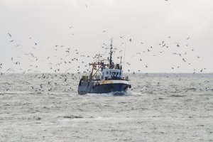 Nuo koronaviruso nukentėjęs žvejybos sektorius galės gauti paramą