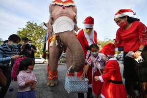 Ant dramblio raitas Kalėdų senelis atnešė itin reikalingą dovaną