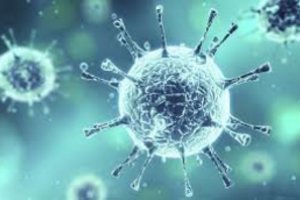 Islandijoje nustatyta trylika užsikrėtimo naujosios atmainos koronavirusu atvejų