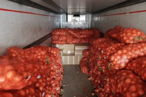 Medininkuose sulaikyta pusės milijono eurų kontrabandos siunta, slėpta po svogūnų kroviniu