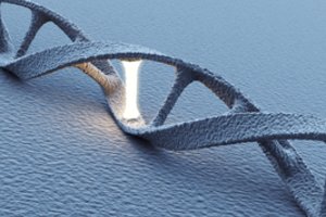 LSMU mokslininkai siūlo steigti konsorciumą COVID-19 genomo tyrimams