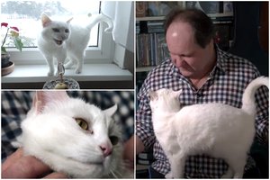 Garsus Lietuvos muzikantas išgelbėjo katinėlį nuo pražūties: augintinio būdas stebina