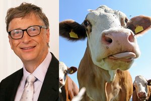 Billas Gatesas nenori, kad valgytumėte tikrą jautieną