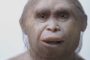 Aiškėja daugiau detalių apie paslaptinguosius žmonijos protėvius