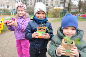 Klaipėdos universiteto botanikai mažuosius sodininkus skatina auginti saldžias žemuoges