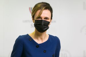 V. Čmilytė-Nielsen: diskusijos dėl merų kadencijų skaičiaus – po Konstitucijos keitimo