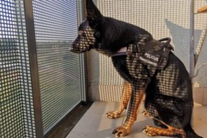 Vilniuje esančio buto vonios kambaryje policijos tarnybinis šuo aptiko amfetamino