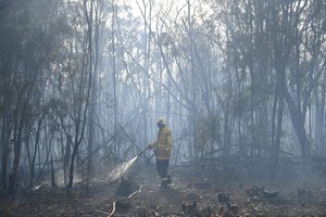 Graikijai kovojant su didžiuliu miškų gaisru, baiminamasi ekologinės nelaimės