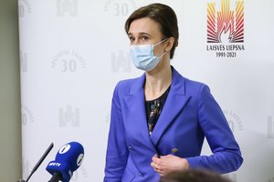 V. Čmilytė-Nielsen: 21 metų cenzas į parlamentą būtų logiškas
