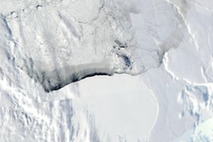 Jungtinės Tautos pripažino Antarktidoje užfiksuotą šilumos rekordą