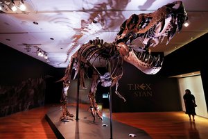 Kiek Žemėje iš viso yra gyvenę tiranozaurų?