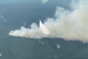 Rusijos regione dėl didelio miško gaisro evakuojama beveik tūkstantis žmonių