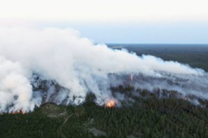 Suomija grumiasi su didžiausiu per pastaruosius 50 metų miško gaisru