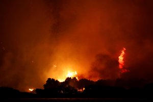 Ugnis toliau Turkijoje ir Graikijoje viską naikina savo kelyje: įsisiautėjus miško gaisrui evakuojama elektrinė