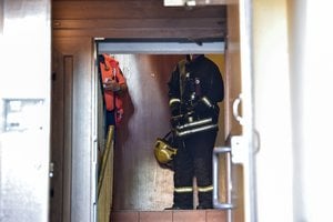 Vilniaus ugniagesiai iš užstrigusio lifto vadavo vaiką su šuniuku