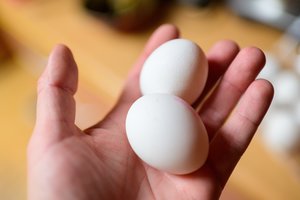Čekijos premjeras apmėtytas kiaušiniais