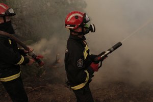 Graikijoje per dvi savaites trunkančius gaisrus išdegė daugiau nei 100 tūkst. hektarų žemės