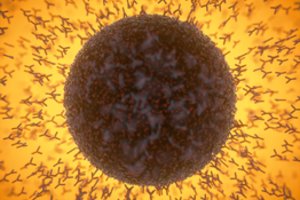 Šviesa tunelio gale? Surado koronaviruso „superantikūną“, įveikiantį visas viruso atmainas