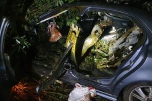 Susidūrimas su briedžiu Ukmergės r. baigėsi tragiškai: 31-erių vairuotojas mirė, keleivė – sunkiai sužalota