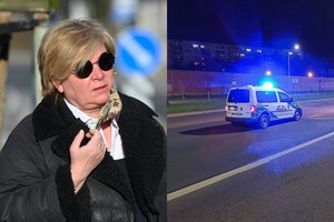Vilniuje prie vairo neblaivi sustabdyta E. Mildažytė: pripūtė 2,36 prom., atsidūrė areštinėje