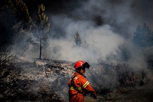 Rusijoje siautėję gaisrai pridarė rekordinės žalos: išdegė virš 18 mln. ha