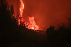 ES agentūra: miškų gaisrai šiauriniame pusrutulyje sukėlė rekordines emisijas