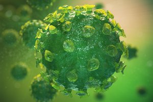 Įtariamųjų ratas siaurėja: daugėja įrodymų, kur galėjo atsirasti koronavirusas
