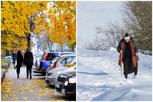 Specialistai apžvelgė Mykolinių orus: ar jau galima spėti, kokia bus žiema?