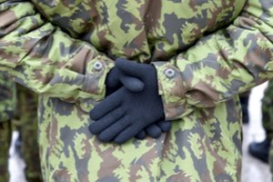 Teismai sumažino „lupikiškas“ kariuomenės netesybas
